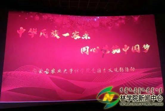 荣耀CEO赵明:卫星通信飞入寻常百姓家